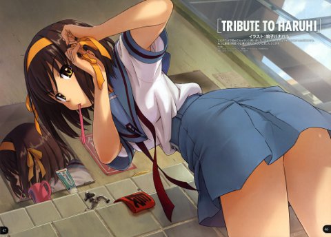 A tribute to Haruhi